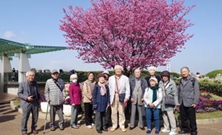 51期、90歳を迎えての花見会～港の見える丘公園にて～